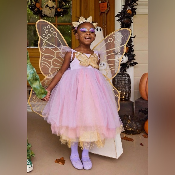 Pottery Barn Faerie Costume size 3T - Picture 2 of 9